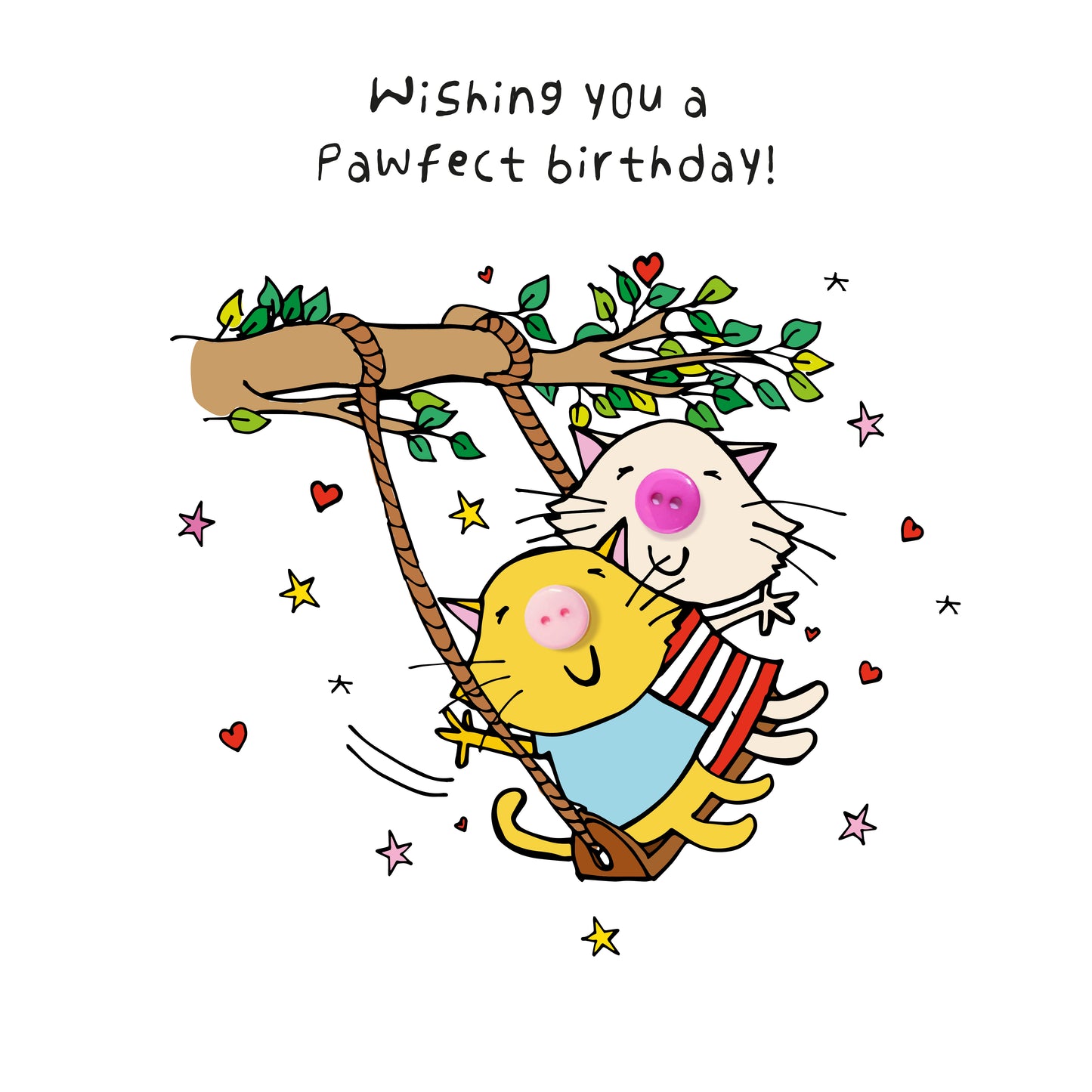 B5 : PAWFECT BIRTHDAY